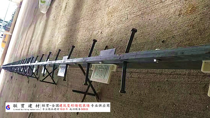 咸宁市铠甲缝施工案例